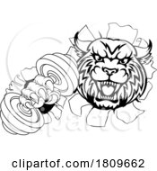 Poster, Art Print Of Wildcat Cougar Lynx Lion Weight Lifting Gym Mascot