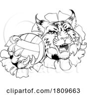 Poster, Art Print Of Wildcat Cougar Lynx Lion Volleyball Claw Mascot