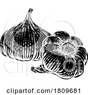 03/17/2024 - Garlic