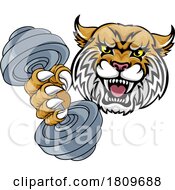 03/18/2024 - Wildcat Cougar Lynx Lion Weight Lifting Gym Mascot