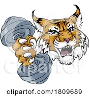 Poster, Art Print Of Wildcat Cougar Lynx Lion Weight Lifting Gym Mascot