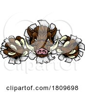 03/18/2024 - Boar Wild Hog Razorback Warthog Pig Sports Mascot
