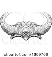 03/18/2024 - Viking Warrior Helmet
