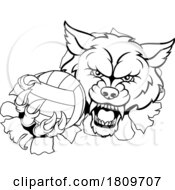 03/19/2024 - Wolf Werewolf Volleyball Volley Ball Claw Mascot
