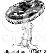 Poster, Art Print Of Mushroom Toadstool Fly Agaric Amanita Muscaria