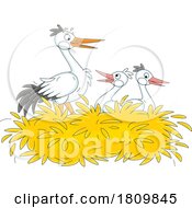 Licensed Clipart Cartoon Stork And Chicks In A Nest by Alex Bannykh