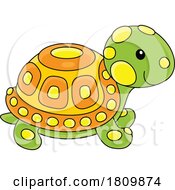 Licensed Clipart Cartoon Toy Tortoise