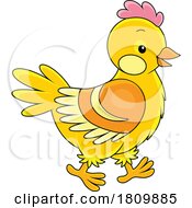 03/25/2024 - Licensed Clipart Cartoon Hen