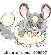 03/26/2024 - Licensed Clipart Cartoon Chinchilla