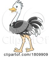 Poster, Art Print Of Licensed Clipart Cartoon Ostrich