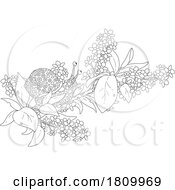 Licensed Clipart Cartoon Snail On A Blossoming Branch