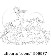 Licensed Clipart Cartoon Stork And Chicks In A Nest