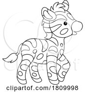03/30/2024 - Licensed Clipart Cartoon Baby Zebra