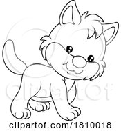 Licensed Clipart Cartoon Kitten