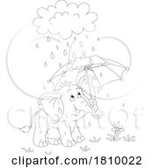 Poster, Art Print Of Licensed Clipart Cartoon Elephant Holding An Umbrella In The Rain