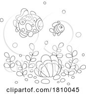 04/02/2024 - Licensed Clipart Cartoon Fish Over A Shell