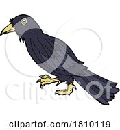 Cartoon Crow