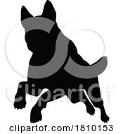 04/06/2024 - Dog Silhouette Pet Animal