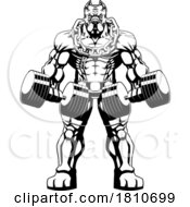 Ripped Pit Bull Dog Mascot Bodybuilder Holding Dumbbells Licensed Black And White Clipart Cartoon by Hit Toon
