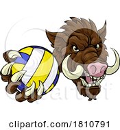 Boar Razorback Hog Volleyball Volley Ball Mascot by AtStockIllustration #COLLC1810791-0021
