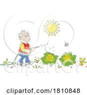 Poster, Art Print Of Cartoon Clipart Grandpa Watering A Vegetable Garden