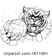 04/23/2024 - Tiger Volleyball Volley Ball Animal Sports Mascot