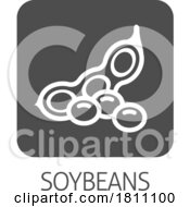 04/24/2024 - A Soybean Soy Bean Food Allergen Icon Concept