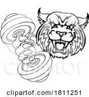Wildcat Cougar Lynx Lion Weight Lifting Gym Mascot by AtStockIllustration #COLLC1811251-0021
