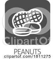 Peanut Nut Food Allergy Icon Concept