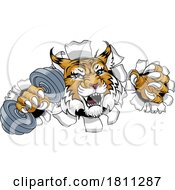 Wildcat Cougar Lynx Lion Weight Lifting Gym Mascot by AtStockIllustration #COLLC1811287-0021
