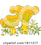 Licensed Clipart Cartoon Chanterelle Mushrooms
