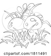 05/01/2024 - Licensed Clipart Cartoon Yellow Boletus Mushrooms