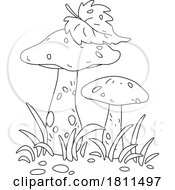 Licensed Clipart Cartoon Orange Cap Boletus Mushrooms