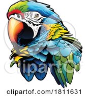 Poster, Art Print Of Colorful Macaw