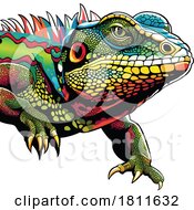 Poster, Art Print Of Colorful Iguana