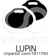 05/11/2024 - Lupin Bean Legume Food Icon Concept