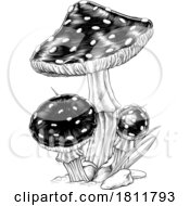 Mushrooms Toadstools Vintage Engraved Woodcut