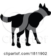 05/19/2024 - Dog Silhouette Pet Animal