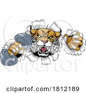 Wildcat Cougar Lynx Lion Weight Lifting Gym Mascot