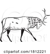 Poster, Art Print Of Bull Elk Or Wapiti In Fighting Stance Side View Mascot Retro