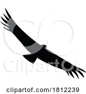 Poster, Art Print Of California Condor