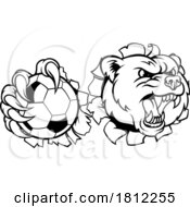 Poster, Art Print Of Bear Soccer Football Claw Grizzly Animal Mascot
