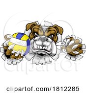 06/01/2024 - Bulldog Dog Volleyball Volley Ball Animal Mascot