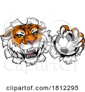 06/02/2024 - Tiger Soccer Football Animal Sports Team Mascot