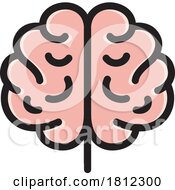 06/02/2024 - Anatomical Brain