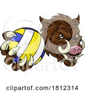 Boar Razorback Hog Volleyball Volley Ball Mascot by AtStockIllustration #COLLC1812314-0021