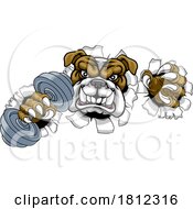 Bulldog Dog Weight Lifting Dumbbell Gym Mascot
