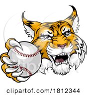 Wildcat Bobcat Baseball Ball Animal Team Mascot by AtStockIllustration #COLLC1812344-0021