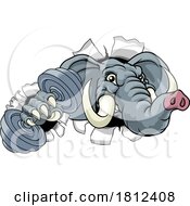 06/04/2024 - Elephant Weight Lifting Dumbbell Gym Mascot
