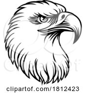 06/04/2024 - Bald Eagle Hawk Falcon Face Head Mascot Bird